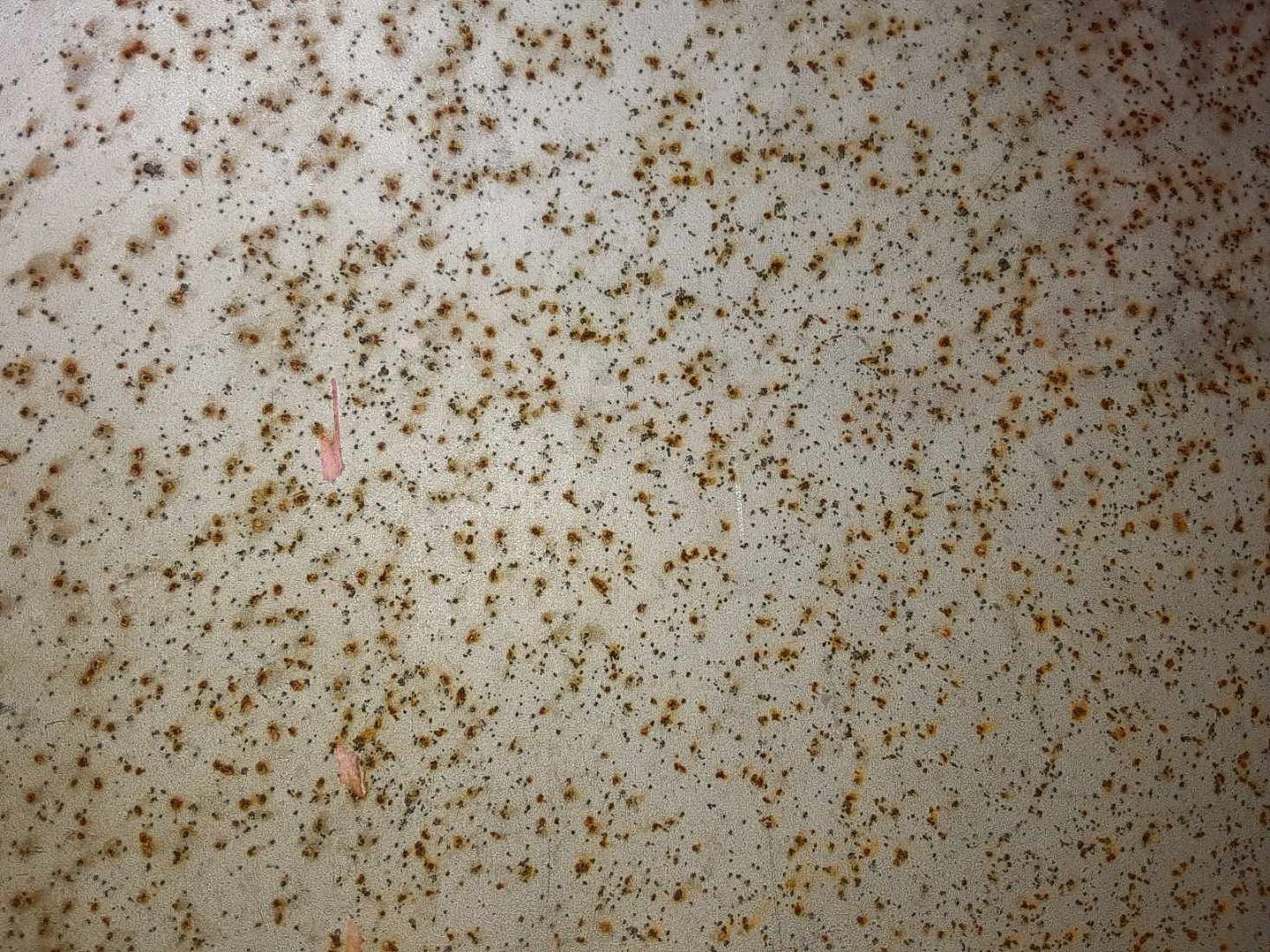 Novid_Why a 100% Stainless Facitily Actually Matters_Blog Post_Mild Steel Contamination Rust Spots